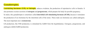 Gonadotropins.
Luteinizing hormone (LH), or lutropin, induces ovulation, the production of reproductive cells in females. It
also promotes ovarian secretion of estrogens and progesterone, which prepare the body for possible pregnancy.
In males, this gonadotropin is sometimes called interstitial cell–stimulating hormone (ICSH), because it stimulates
the production of sex hormones by the interstitial cells of the testes. These male sex hormones are called androgens.
The most important one is testosterone.
LH production, like FSH production, is stimulated by GnRH from the hypothalamus. Estrogens, progesterone, and
androgens inhibit GnRH production.
 