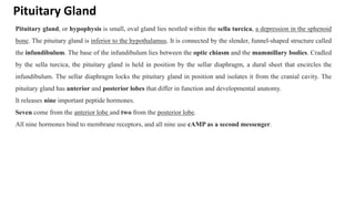 Pituitary Gland
Pituitary gland, or hypophysis is small, oval gland lies nestled within the sella turcica, a depression in the sphenoid
bone. The pituitary gland is inferior to the hypothalamus. It is connected by the slender, funnel-shaped structure called
the infundibulum. The base of the infundibulum lies between the optic chiasm and the mammillary bodies. Cradled
by the sella turcica, the pituitary gland is held in position by the sellar diaphragm, a dural sheet that encircles the
infundibulum. The sellar diaphragm locks the pituitary gland in position and isolates it from the cranial cavity. The
pituitary gland has anterior and posterior lobes that differ in function and developmental anatomy.
It releases nine important peptide hormones.
Seven come from the anterior lobe and two from the posterior lobe.
All nine hormones bind to membrane receptors, and all nine use cAMP as a second messenger.
 