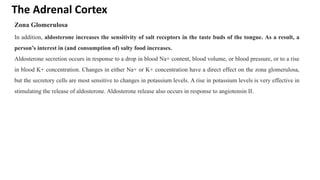 The Adrenal Cortex
Zona Glomerulosa
In addition, aldosterone increases the sensitivity of salt receptors in the taste buds of the tongue. As a result, a
person’s interest in (and consumption of) salty food increases.
Aldosterone secretion occurs in response to a drop in blood Na+ content, blood volume, or blood pressure, or to a rise
in blood K+ concentration. Changes in either Na+ or K+ concentration have a direct effect on the zona glomerulosa,
but the secretory cells are most sensitive to changes in potassium levels. A rise in potassium levels is very effective in
stimulating the release of aldosterone. Aldosterone release also occurs in response to angiotensin II.
 