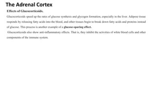 The Adrenal Cortex
Effects of Glucocorticoids.
Glucocorticoids speed up the rates of glucose synthesis and glycogen formation, especially in the liver. Adipose tissue
responds by releasing fatty acids into the blood, and other tissues begin to break down fatty acids and proteins instead
of glucose. This process is another example of a glucose-sparing effect.
Glucocorticoids also show anti-inflammatory effects. That is, they inhibit the activities of white blood cells and other
components of the immune system.
 