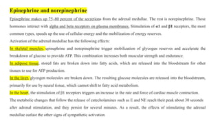 Epinephrine and norepinephrine
Epinephrine makes up 75–80 percent of the secretions from the adrenal medullae. The rest is norepinephrine. These
hormones interact with alpha and beta receptors on plasma membranes. Stimulation of α1 and β1 receptors, the most
common types, speeds up the use of cellular energy and the mobilization of energy reserves.
Activation of the adrenal medullae has the following effects:
In skeletal muscles, epinephrine and norepinephrine trigger mobilization of glycogen reserves and accelerate the
breakdown of glucose to provide ATP. This combination increases both muscular strength and endurance.
In adipose tissue, stored fats are broken down into fatty acids, which are released into the bloodstream for other
tissues to use for ATP production.
In the liver, glycogen molecules are broken down. The resulting glucose molecules are released into the bloodstream,
primarily for use by neural tissue, which cannot shift to fatty acid metabolism.
In the heart, the stimulation of β1 receptors triggers an increase in the rate and force of cardiac muscle contraction.
The metabolic changes that follow the release of catecholamines such as E and NE reach their peak about 30 seconds
after adrenal stimulation, and they persist for several minutes. As a result, the effects of stimulating the adrenal
medullae outlast the other signs of sympathetic activation
 