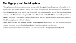 The Hypophyseal Portal system
The capillary networks in the median eminence are supplied by the superior hypophyseal artery. Before leaving the
hypothalamus, the capillary networks unite to form a series of larger vessels that spiral around the infundibulum to
reach the anterior lobe. In the anterior lobe, these vessels form a second capillary network that branches among the
endocrine cells. This vascular arrangement is unusual because it carries blood from one capillary network to
another. In contrast, a typical artery conducts blood from the heart to a capillary network, and a typical vein carries
blood from a capillary network back to the heart.
Blood vessels that link two capillary networks are called portal vessels. In this case, they have the histological
structure of veins, so they are also called portal veins. The entire complex is a portal system.
Portal systems are named for their destinations. This particular network is the hypophyseal portal system.
 