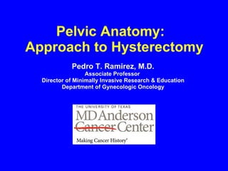 Pelvic Anatomy:  Approach to Hysterectomy Pedro T. Ramirez, M.D. Associate Professor  Director of Minimally Invasive Research & Education Department of Gynecologic Oncology 