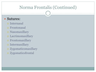 Norma Frontalis (Continued)
 Sutures:
 Internasal
 Frontonasal
 Nasomaxillary
 Lacrimomaxillary
 Frontomaxillary
 Intermaxillary
 Zygomaticomaxillary
 Zygomaticofrontal
 