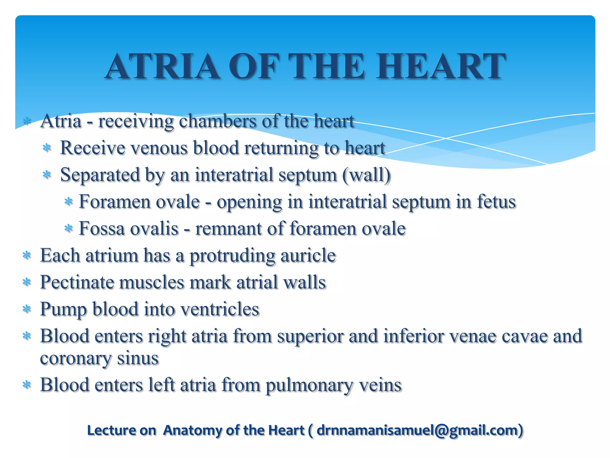 Anatomy of the Heart | PPTX