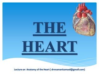 THE
HEART
Lecture on Anatomy of the Heart ( drnnamanisamuel@gmail.com)

 