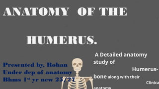 Anatomy humerus bone ppy.pptxisthepptofanatomytodes | PPTX