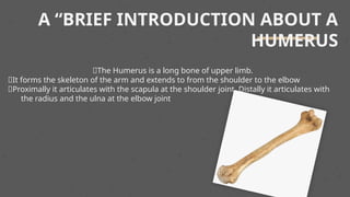 Anatomy humerus bone ppy.pptxisthepptofanatomytodes | PPTX