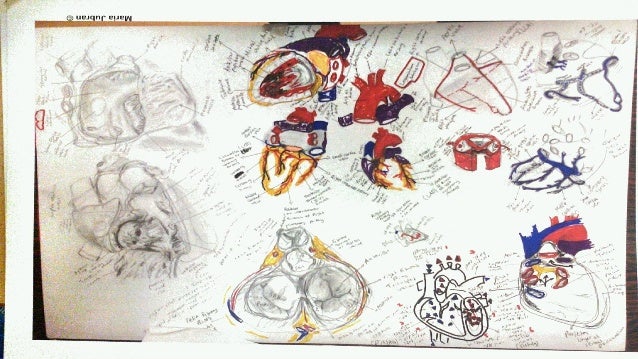 Anatomy illustrations