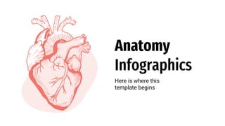 Anatomy
Infographics
Here is where this
template begins
 