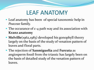 LEAF ANATOMY
 Leaf anatomy has been of special taxonomic help in
Poaceae family.
 The occurance of c-4 path way and its association with
Kranz anatomy
 Melville(1962,1983) developed his gonophyll theory
largely on the basis of the study of venation pattern of
leaves and floral parts.
 The rejection of Sanmiguelia and Furcuta as
angiosperm fossil from the triassic has largely been on
the basis of detailed study of the venation pattern of
leaves.
 