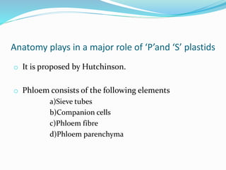 Anatomy plays in a major role of ‘P’and ‘S’ plastids
o It is proposed by Hutchinson.
o Phloem consists of the following elements
a)Sieve tubes
b)Companion cells
c)Phloem fibre
d)Phloem parenchyma
 