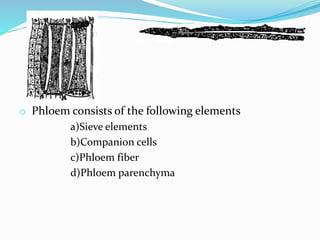 o Phloem consists of the following elements
a)Sieve elements
b)Companion cells
c)Phloem fiber
d)Phloem parenchyma
 