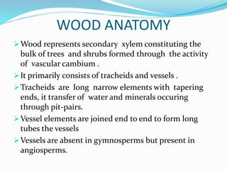 WOOD ANATOMY
Wood represents secondary xylem constituting the
bulk of trees and shrubs formed through the activity
of vascular cambium .
It primarily consists of tracheids and vessels .
Tracheids are long narrow elements with tapering
ends, it transfer of water and minerals occuring
through pit-pairs.
Vessel elements are joined end to end to form long
tubes the vessels
Vessels are absent in gymnosperms but present in
angiosperms.
 
