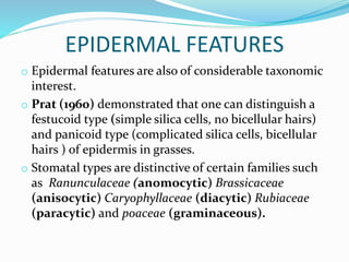 EPIDERMAL FEATURES
o Epidermal features are also of considerable taxonomic
interest.
o Prat (1960) demonstrated that one can distinguish a
festucoid type (simple silica cells, no bicellular hairs)
and panicoid type (complicated silica cells, bicellular
hairs ) of epidermis in grasses.
o Stomatal types are distinctive of certain families such
as Ranunculaceae (anomocytic) Brassicaceae
(anisocytic) Caryophyllaceae (diacytic) Rubiaceae
(paracytic) and poaceae (graminaceous).
 