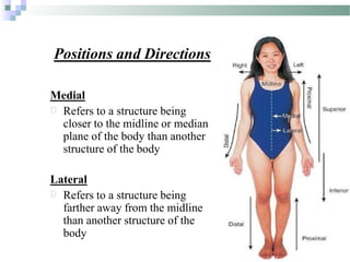 anatomyintro-230110134713-af447fb7 2.pdf