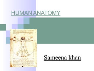 HUMANANATOMY
Sameena khan
 