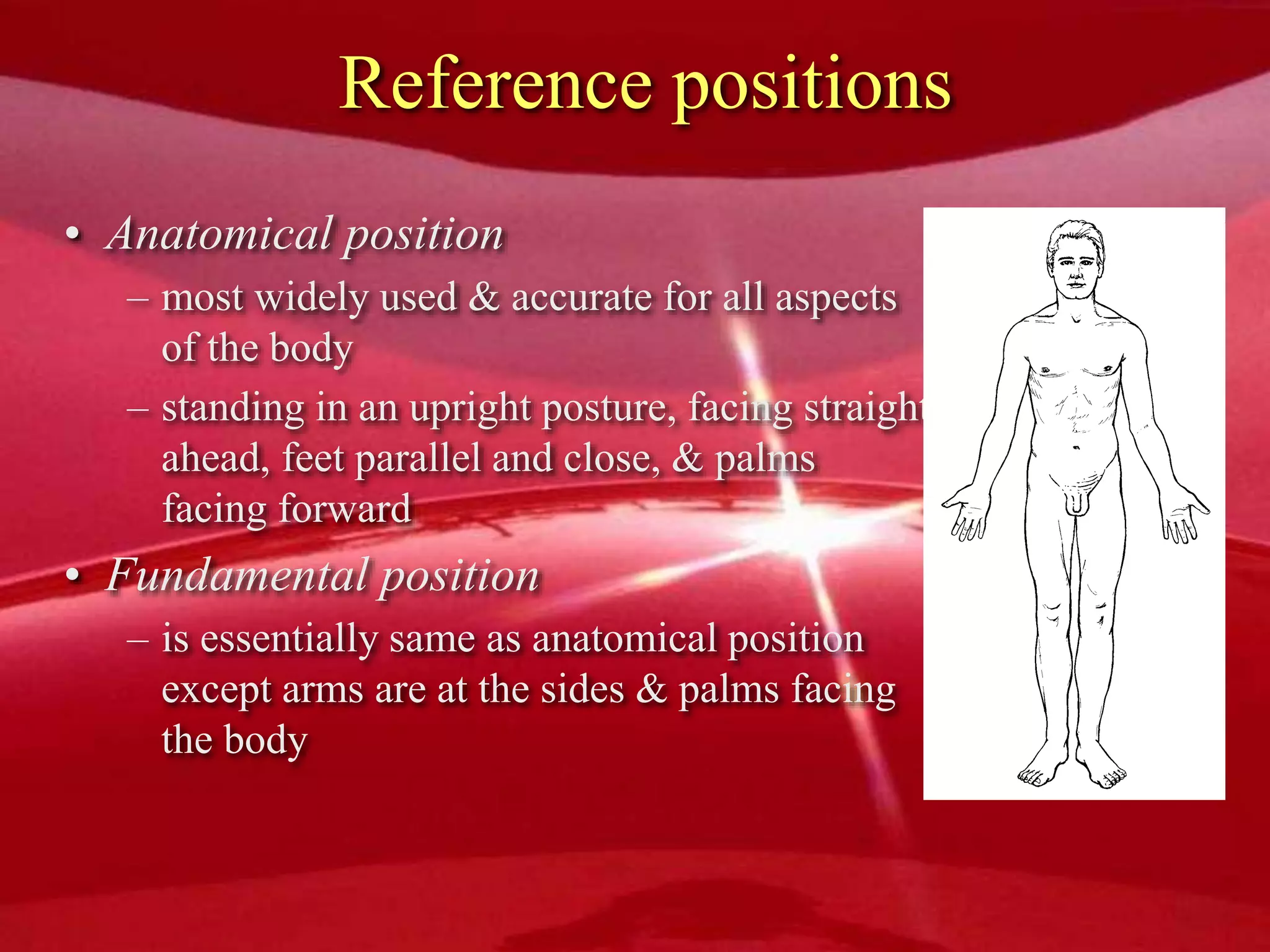 Reference positions
• Anatomical position
– most widely used & accurate for all aspects
of the body
– standing in an upright posture, facing straight
ahead, feet parallel and close, & palms
facing forward
• Fundamental position
– is essentially same as anatomical position
except arms are at the sides & palms facing
the body
 