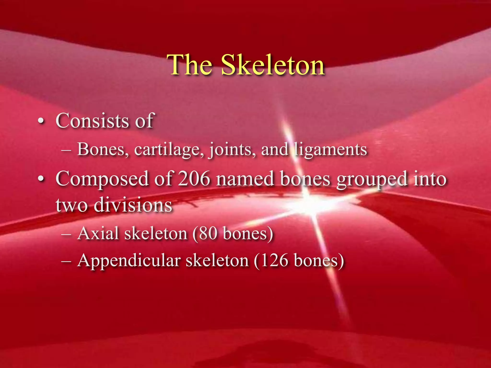 The Skeleton
• Consists of
– Bones, cartilage, joints, and ligaments
• Composed of 206 named bones grouped into
two divisions
– Axial skeleton (80 bones)
– Appendicular skeleton (126 bones)
 