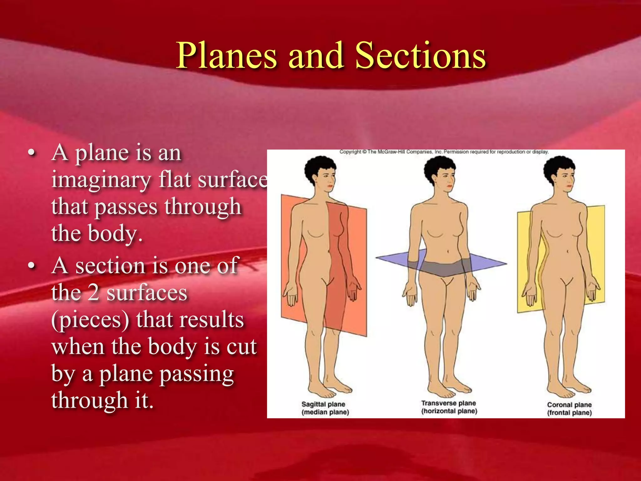 Planes and Sections
• A plane is an
imaginary flat surface
that passes through
the body.
• A section is one of
the 2 surfaces
(pieces) that results
when the body is cut
by a plane passing
through it.
 