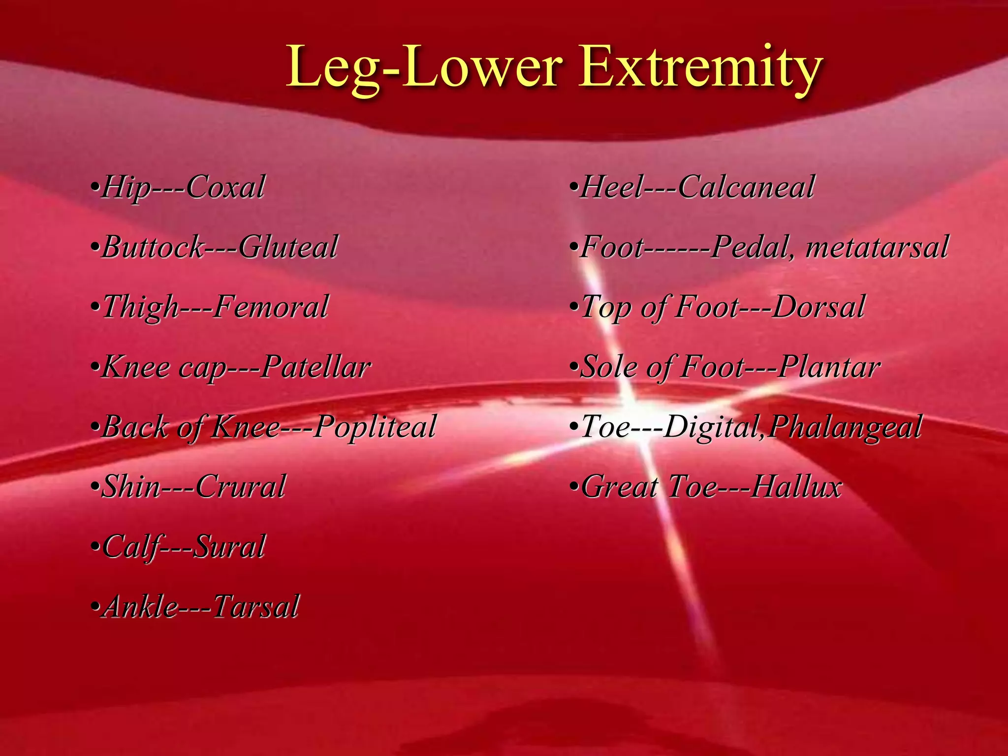 Leg-Lower Extremity
•Hip---Coxal
•Buttock---Gluteal
•Thigh---Femoral
•Knee cap---Patellar
•Back of Knee---Popliteal
•Shin---Crural
•Calf---Sural
•Ankle---Tarsal
•Heel---Calcaneal
•Foot------Pedal, metatarsal
•Top of Foot---Dorsal
•Sole of Foot---Plantar
•Toe---Digital,Phalangeal
•Great Toe---Hallux
 