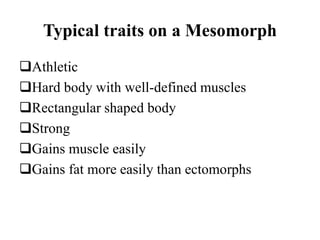 Mesomorph Geometry anatomy introduction.pptx
