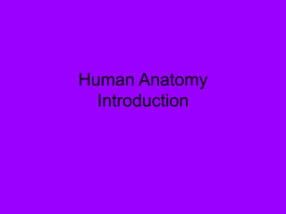 Human Anatomy
Introduction
 