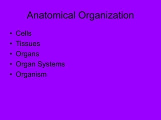 Anatomical Organization
• Cells
• Tissues
• Organs
• Organ Systems
• Organism
 