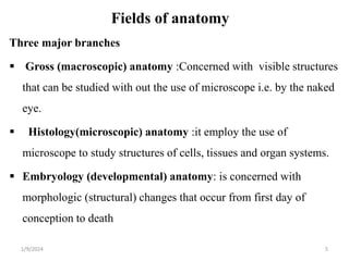 Fields of anatomy
Three major branches
 Gross (macroscopic) anatomy :Concerned with visible structures
that can be studied with out the use of microscope i.e. by the naked
eye.
 Histology(microscopic) anatomy :it employ the use of
microscope to study structures of cells, tissues and organ systems.
 Embryology (developmental) anatomy: is concerned with
morphologic (structural) changes that occur from first day of
conception to death
1/9/2024 5
 