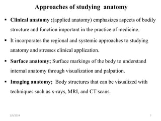 Anatomy introduction.pptx