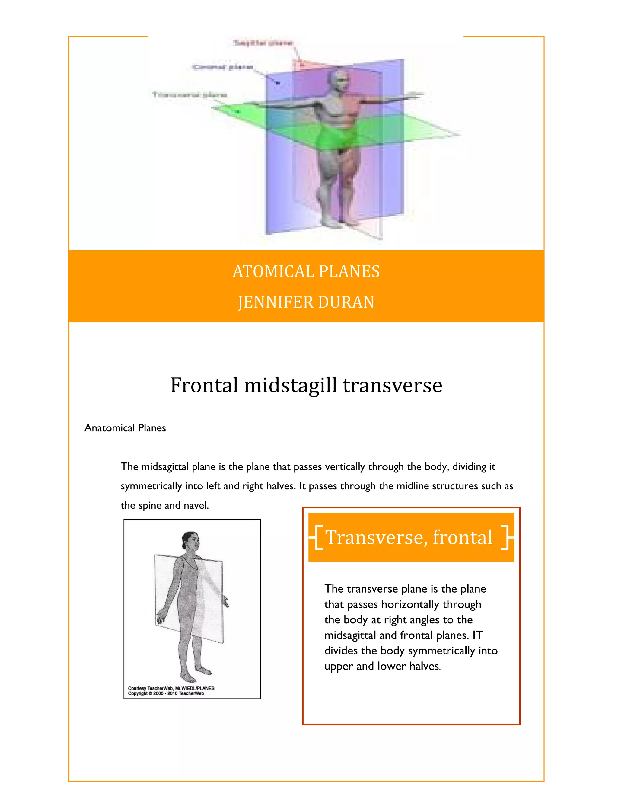ATOMICAL	PLANES	
                                  JENNIFER	DURAN	



                    Frontal	midstagill	transverse	
Anatomical Planes


       The midsagittal plane is the plane that passes vertically through the body, dividing it
       symmetrically into left and right halves. It passes through the midline structures such as
       the spine and navel.


                                                      Transverse,	frontal	

                                                      The transverse plane is the plane
                                                      that passes horizontally through
                                                      the body at right angles to the
                                                      midsagittal and frontal planes. IT
                                                      divides the body symmetrically into
                                                      upper and lower halves.
 