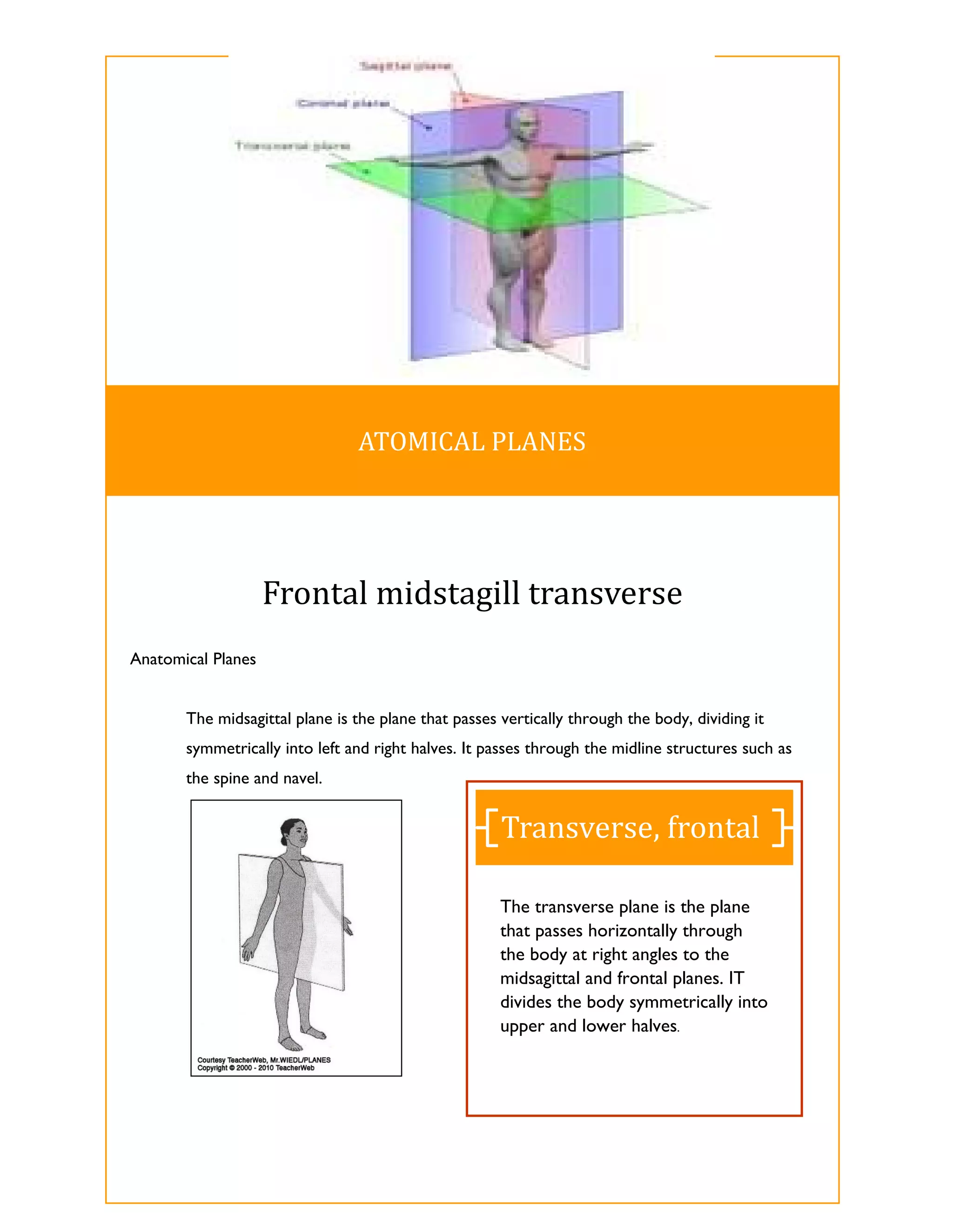 ATOMICAL	PLANES	




                    Frontal	midstagill	transverse	
Anatomical Planes


       The midsagittal plane is the plane that passes vertically through the body, dividing it
       symmetrically into left and right halves. It passes through the midline structures such as
       the spine and navel.


                                                      Transverse,	frontal	

                                                      The transverse plane is the plane
                                                      that passes horizontally through
                                                      the body at right angles to the
                                                      midsagittal and frontal planes. IT
                                                      divides the body symmetrically into
                                                      upper and lower halves.
 