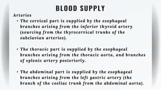 BLOOD SUPPLY
Arteries
• The cervical part is supplied by the esophageal
branches arising from the inferior thyroid artery
(sourcing from the thyrocervical trunks of the
subclavian arteries).
• The thoracic part is supplied by the esophageal
branches arising from the thoracic aorta, and branches
of splenic artery posteriorly.
• The abdominal part is supplied by the esophageal
branches arising from the left gastric artery (the
branch of the coeliac trunk from the abdominal aorta).
 