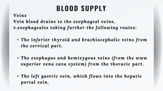 BLOOD SUPPLY
Veins
Vein blood drains to the esophageal veins,
v.esophageales taking further the following routes:
• The inferior thyroid and brachiocephalic veins from
the cervical part.
• The esophagus and hemizygous veins (from the www
superior vena cava system) from the thoracic part.
• The left gastric vein, which flows into the hepatic
portal vein.
 
