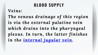 BLOOD SUPPLY
Veins:
The venous drainage of this region
is via the external palatine vein
which drains into the pharyngeal
plexus. In turn, the latter finishes
in the internal jugular vein.
 