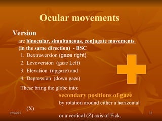 ANATOMY & LAWS of OCULAR MOVEMENT SIMPLIFIED FOR UNDERGRADUATES.ppt