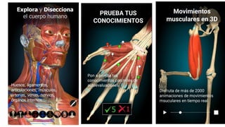 Anatomylearning aplicacion per a estudiar anatomia
