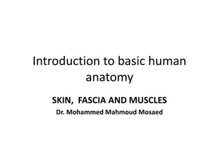 Introduction to basic human
anatomy
SKIN, FASCIA AND MUSCLES
Dr. Mohammed Mahmoud Mosaed
 