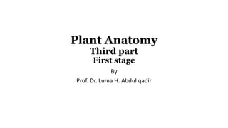 Plant Anatomy
Third part
First stage
By
Prof. Dr. Luma H. Abdul qadir
 