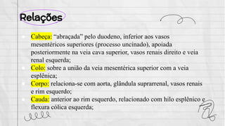 Relações
● Cabeça: “abraçada” pelo duodeno, inferior aos vasos
mesentéricos superiores (processo uncinado), apoiada
posteriormente na veia cava superior, vasos renais direito e veia
renal esquerda;
● Colo: sobre a união da veia mesentérica superior com a veia
esplênica;
● Corpo: relaciona-se com aorta, glândula suprarrenal, vasos renais
e rim esquerdo;
● Cauda: anterior ao rim esquerdo, relacionado com hilo esplênico e
flexura cólica esquerda;
 