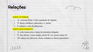 Relações
● PARTE SUPERIOR:
○ A: vesícula biliar e lobo quadrado do fígado;
○ P: ducto colédoco, pâncreas e v. porta;
○ I: cabeça e colo do pâncreas;
● PARTE DESCENDENTE:
○ A: colo transverso e alças do intestino delgado;
○ P: rim direito, vasos renais, ureter D e m. psoas maior D;
○ M: cabeça do pâncreas, ducto colédoco e ducto pancrático;
 