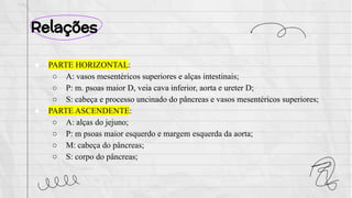 Relações
● PARTE HORIZONTAL:
○ A: vasos mesentéricos superiores e alças intestinais;
○ P: m. psoas maior D, veia cava inferior, aorta e ureter D;
○ S: cabeça e processo uncinado do pâncreas e vasos mesentéricos superiores;
● PARTE ASCENDENTE:
○ A: alças do jejuno;
○ P: m psoas maior esquerdo e margem esquerda da aorta;
○ M: cabeça do pâncreas;
○ S: corpo do pâncreas;
 