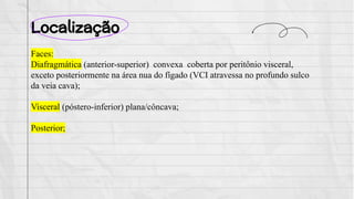 Localização
Faces:
Diafragmática (anterior-superior) convexa coberta por peritônio visceral,
exceto posteriormente na área nua do fígado (VCI atravessa no profundo sulco
da veia cava);
Visceral (póstero-inferior) plana/côncava;
Posterior;
 