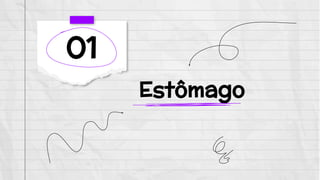 Estômago
01
 
