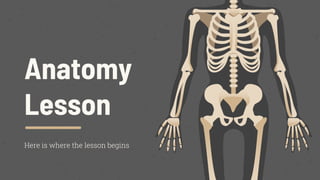 Anatomy
Lesson
Here is where the lesson begins
 