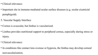 COMPREHENSIVE OPHTHALMOLOGY UNIT ANATOMY LIMBUS NOTES | PPTX