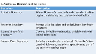 ANATOMY LIMBUS comprehensive ophthalmology .pptx