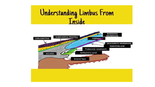 Limbus Lab ANATOMY LIMBUS comprehensive ophthalmology .pptx