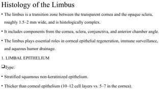 Limbus Tissue ANATOMY LIMBUS comprehensive ophthalmology .pptx