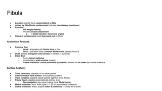 Anatomy Lower Limb-Bones.pdf for Moores anatomy | PDF